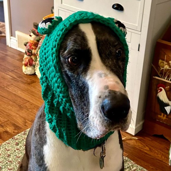 Crochet Frog Dog Hat - Picture 1 of 2